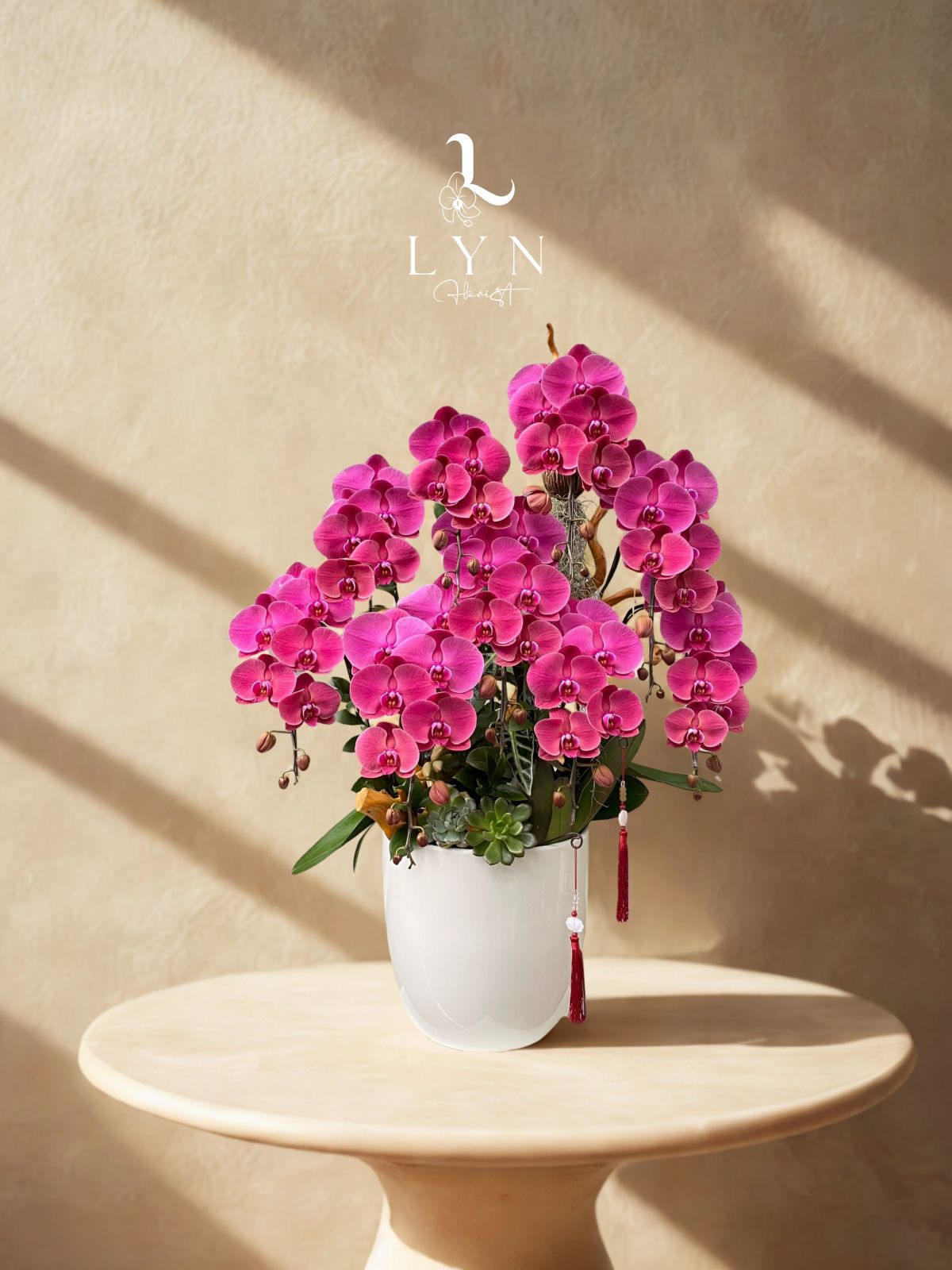 Chậu Hoa Lan Đỏ Vang